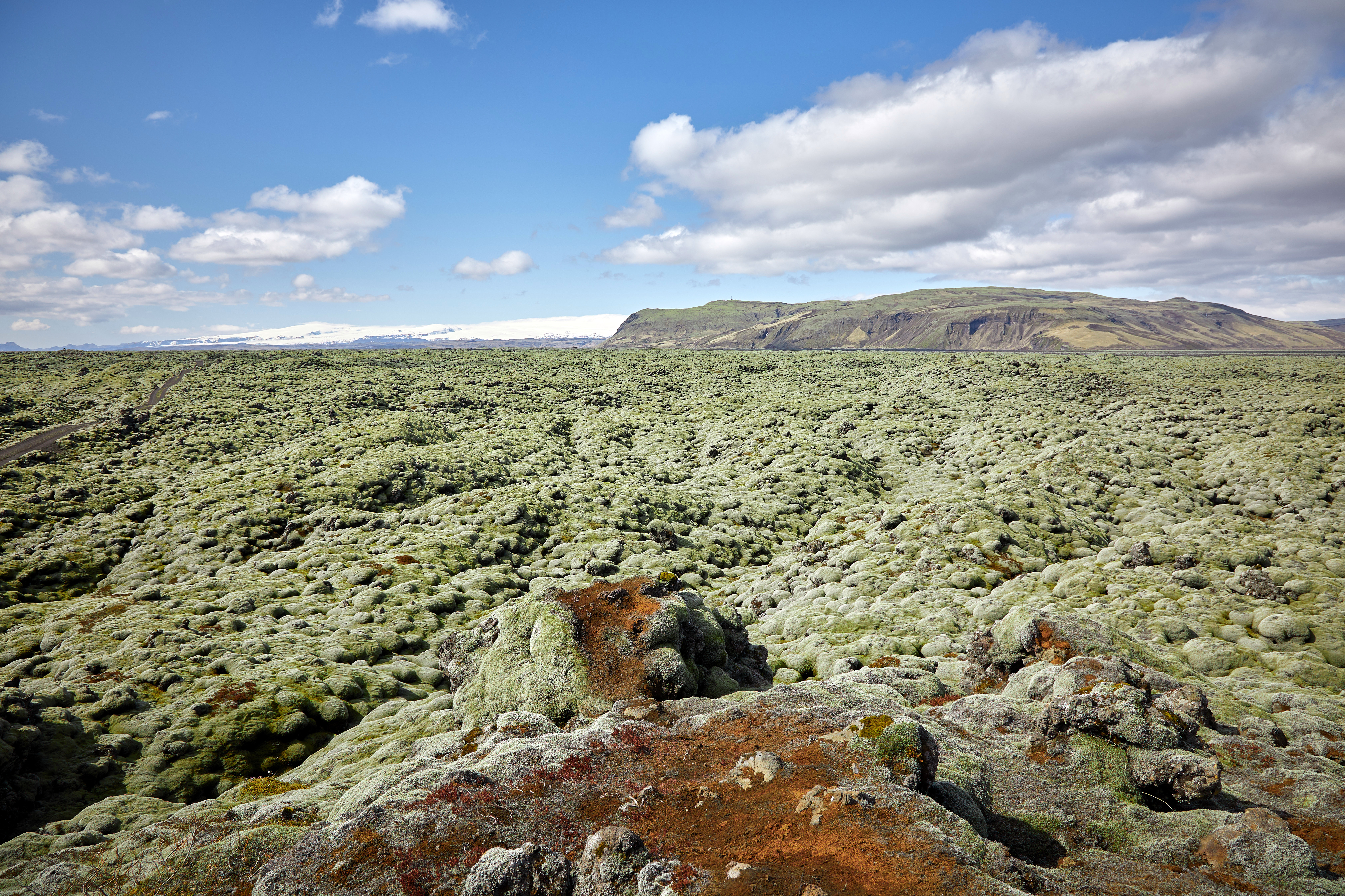 20190504 Lava Feld 011